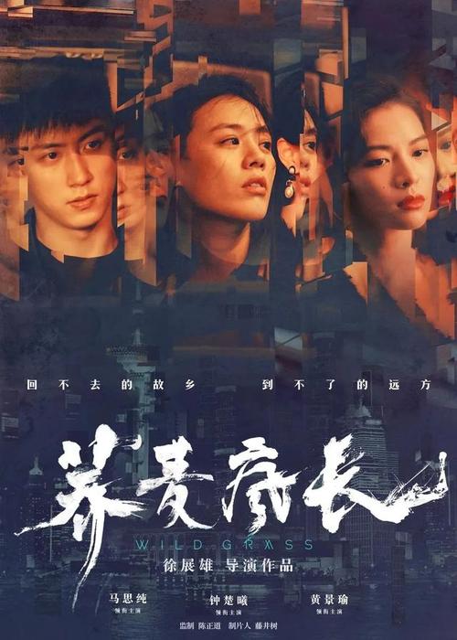 教育部学历证书电子注册备案表验证有效期